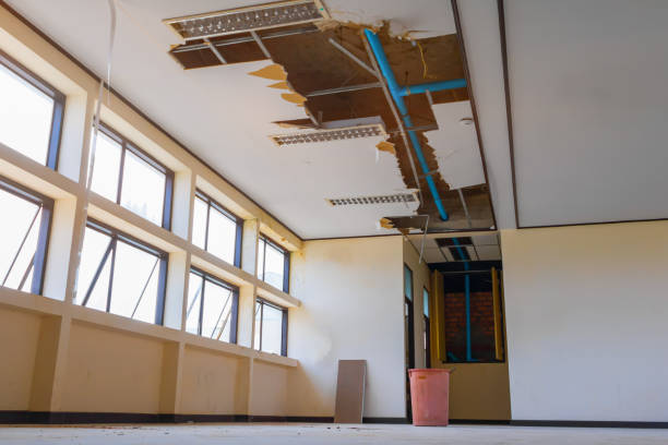 Best Fire Damage Restoration  in Squirrel Mountain Valley, CA