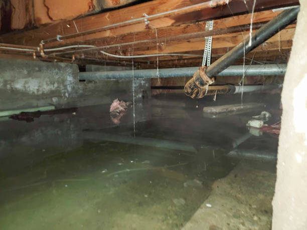Sewage cleanup and water damage restoration in Squirrel Mountain Valley, CA