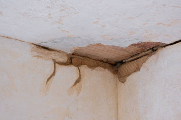  Squirrel Mountain Valley, CA Water damage restoration Pros