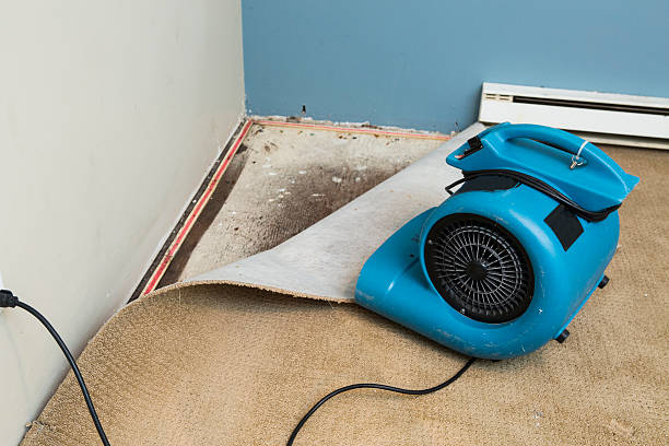Best Carpet water damage restoration  in Squirrel Mountain Valley, CA
